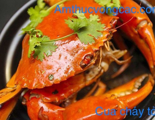 CUA CHÁY TỎI