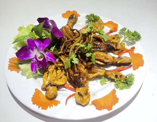 BẠCH TUỘC