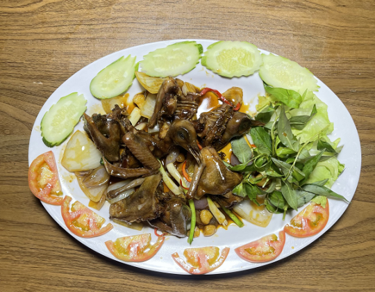 BỒ CÂU