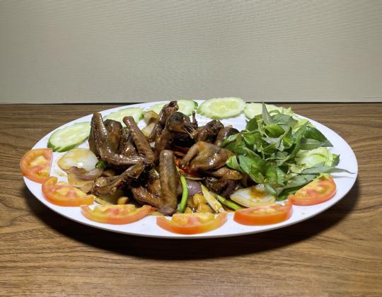 BỒ CÂU