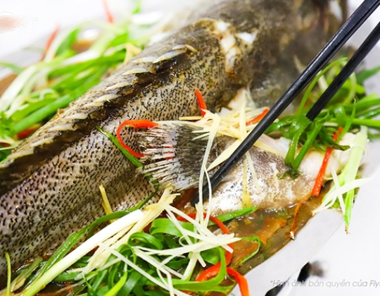 CÁ BỐNG MÚ HẤP GỪNG 