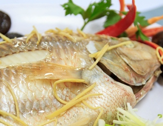 CÁ ĐIÊU HỒNG HẤP HÀNH GỪNG 