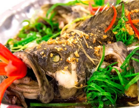 CÁ BỐNG MÚ HẤP HỒNG KÔNG 