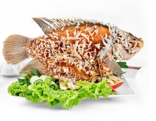 CÁ TAI TƯỢNG CHIÊN XÙ 