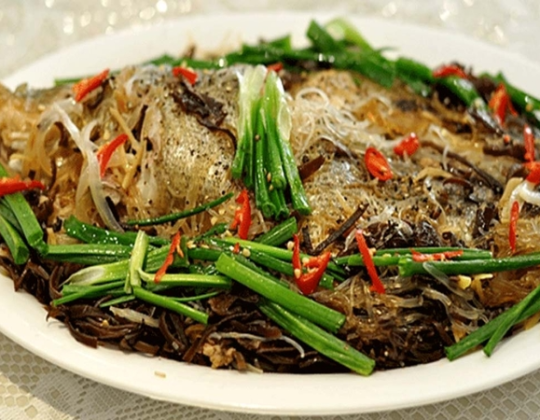 CÁ TAI TƯỢNG CHƯNG TƯƠNG 