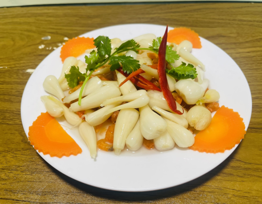CỦ KIỆU