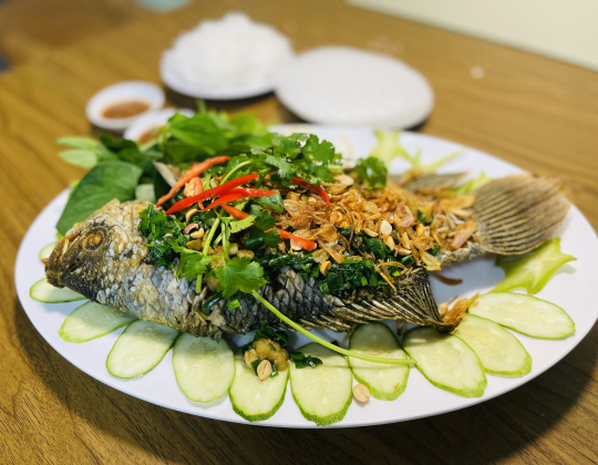TAI TƯỢNG CHIÊN XÙ